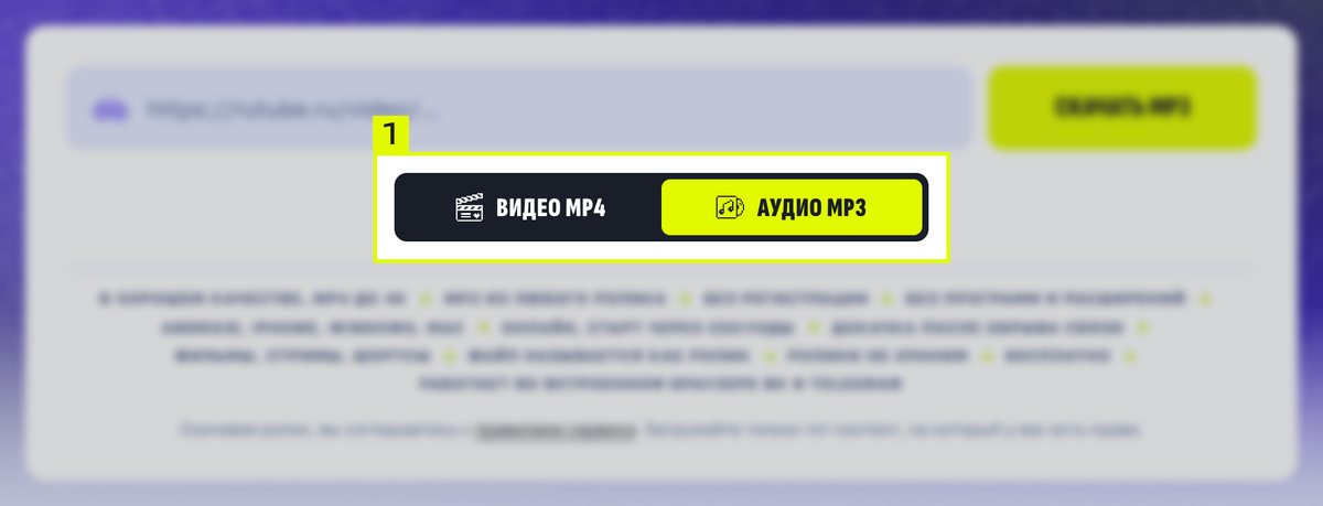 Переключатель загрузчика RutVideo с выбранным положением «Аудио MP3»